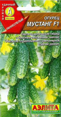 Огурец Мустанг