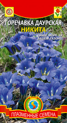 цГоречавка Никита 80шт