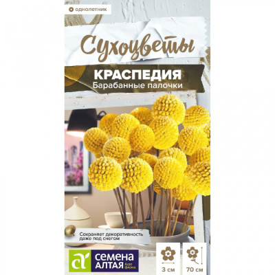 цКраспедия Барабанные палочки шаровидная 0,05 г Сухоцветы