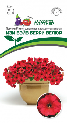 Петуния Изи Вэйв берри велюр 5шт