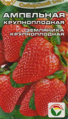 Земляника Ампельная 15 шт