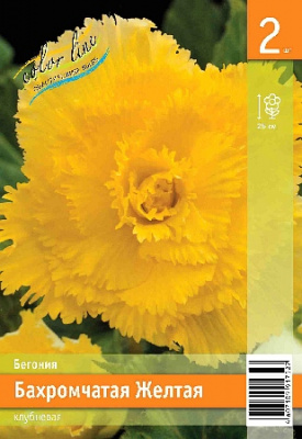 Бегония ЭКОНОМ-СЕРИЯ БАХРОМЧАТАЯ ЖЕЛТАЯ (2/30)