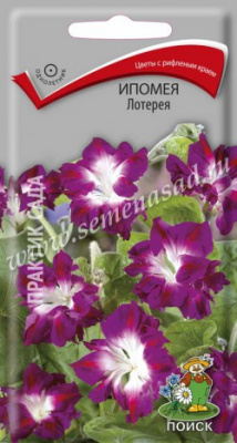 цИпомея Лотерея 0,3г