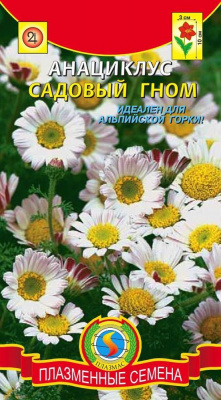 цАнациклус Садовый гном 0,015г