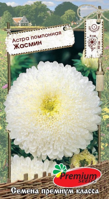 цАстра Жасмин помпонная