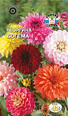 цГеоргина Богема 0,2г