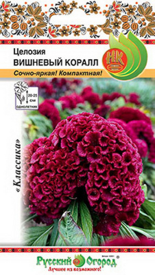 цЦелозия Вишневый коралл 60шт