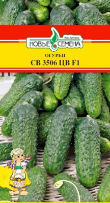 Огурец СВ 3506 ЦВ 5шт (Seminis / Голландия)