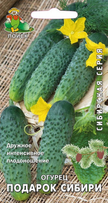 Огурец Подарок Сибири 10шт (Сибирская серия)