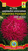 цАстра Вишнево-розовая шаровидно-игольчатая