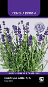 Лаванда Эллеганс Парпл 10шт (Семена Профи)