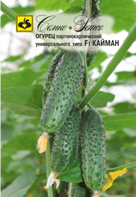 Огурец Кайман 10шт