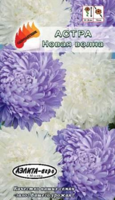 цАстра Новая волна, смесь карликовая