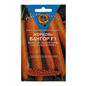 Морковь Бангор 100др (ГЛ)