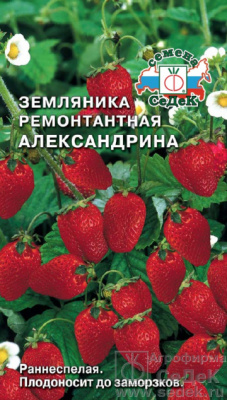 Земляника Александрина 0,04г