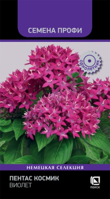Пентас Космик Виолет 7шт (Семена Профи)