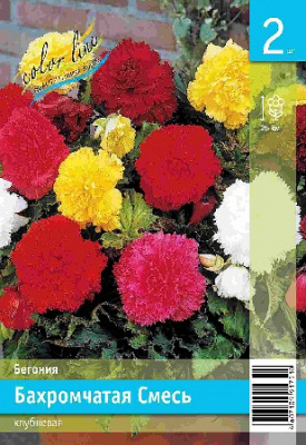 Бегония ЭКОНОМ-СЕРИЯ БАХРОМЧАТАЯ СМЕСЬ (2/30)