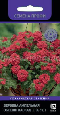 Вербена Обсешн Каскад Скарлет 7шт (Семена Профи)