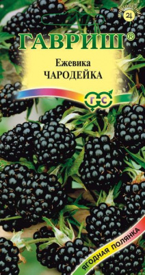 Ежевика Чародейка 10шт