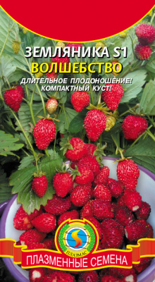 Земляника Волшебство 10шт