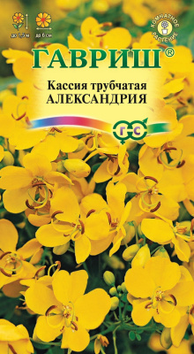 Кассия Александрия (трубчатая) 3шт