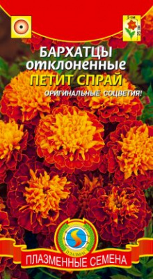 цБархатцы Петит спрай