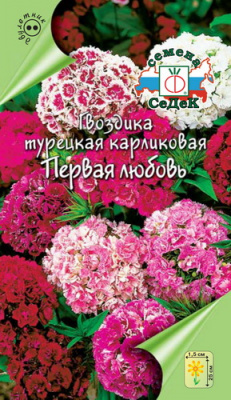 цГвоздика турецкая Первая любовь смесь