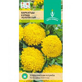 цБархатцы Купид Золотистый 0,2г