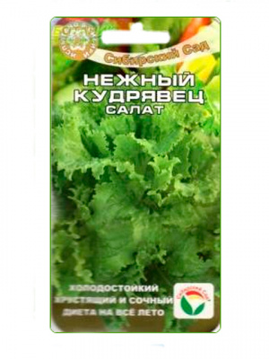 Салат Нежный кудрявец 0,5г