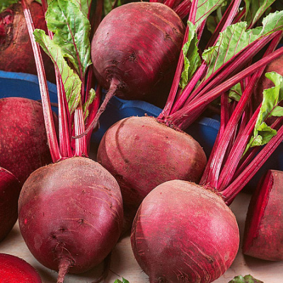 Свекла Елизавета 1г