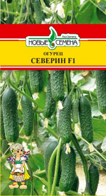 Огурец Северин 5шт