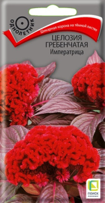 Целозия Императрица (гребенчатая) 0,1г