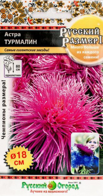 Астра Русский размер Турмалин 0,3г