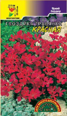 цГвоздика травянка Красная