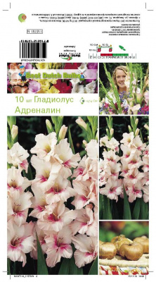 Гладиолус Адреналин/ Мечта (10 шт)