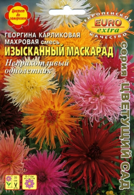 Георгина Изысканный маскарад карлик. 0,2г