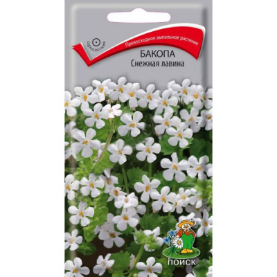 Бакопа Снежная лавина 5шт