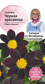 цГеоргина Черная красавица 5шт (семена от Ганичкиной)