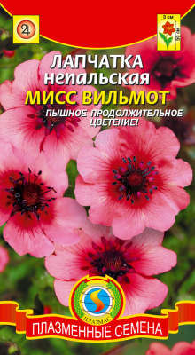 цЛапчатка Мисс Вильмот 50шт