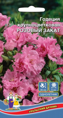 цГодеция Розовый закат