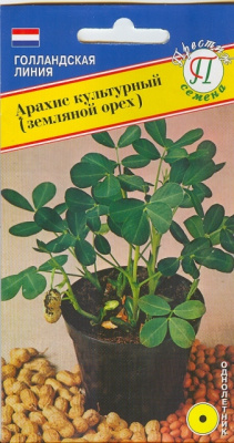 Арахис культурный (земляной орех) 5шт (Голландия)