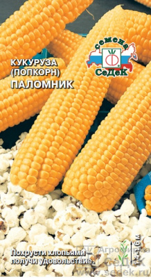 Кукуруза Паломник попкорн