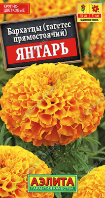 цБархатцы Янтарь прям.