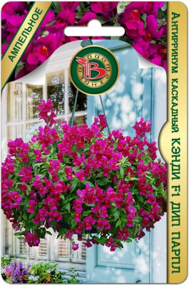 Антирринум Кэнди Дип парпл 5шт