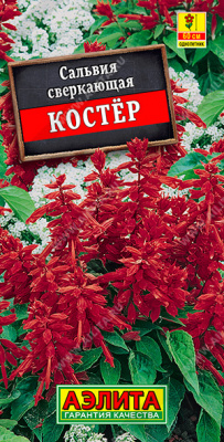 Сальвия Костер 0,1г