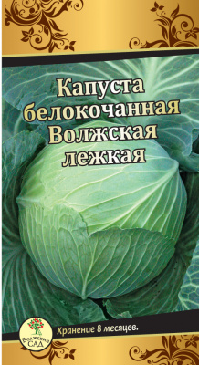 Капуста бк Волжская лежкая 20шт
