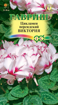 цЦикламен Виктория 3шт