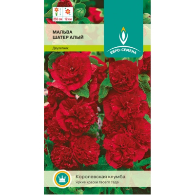 цМальва Шатер Алый