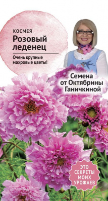 цКосмея Розовый Леденец 0,1г (семена от Ганичкиной)