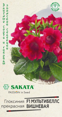 цГлоксиния Мультибеллс вишневая 4 шт Саката